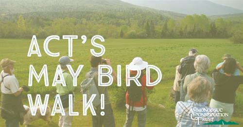NH_Grand_event_ACT_2018_May_Bird_Walk_site_banner2