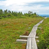 Hike Like a Local in Shelburne Valley